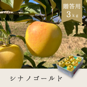 シナノゴールド 贈答用【3kg】